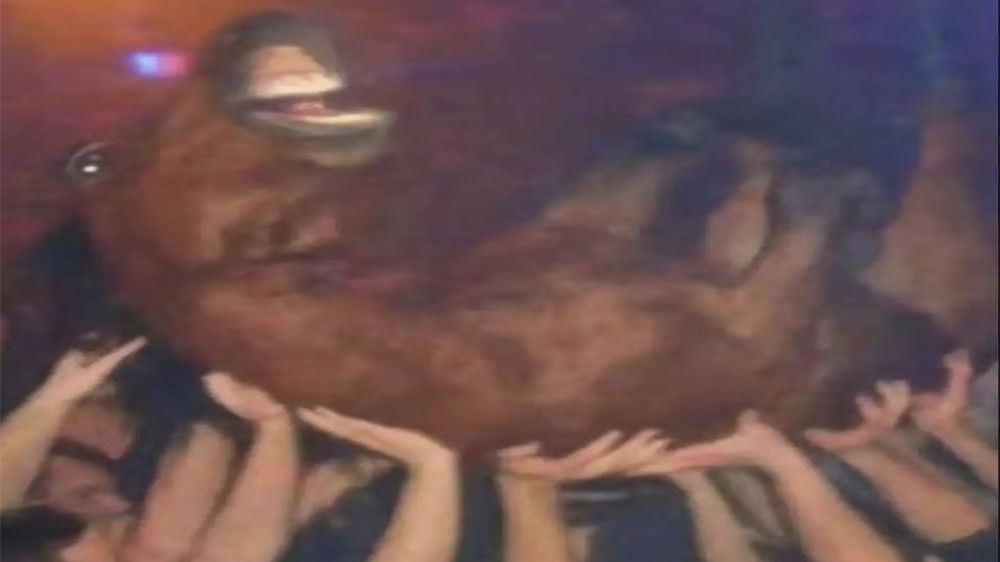 ”笑了你就会被隐形男特工惩罚的MeMes"#918