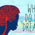 改变心理学的40项研究 06 睡眠，毫无疑问就会做梦 转载自YouTube 中英双语字幕 PART1