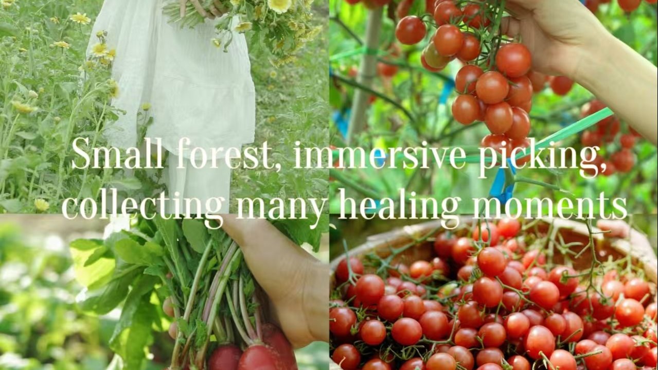 又到了水果自由的季节