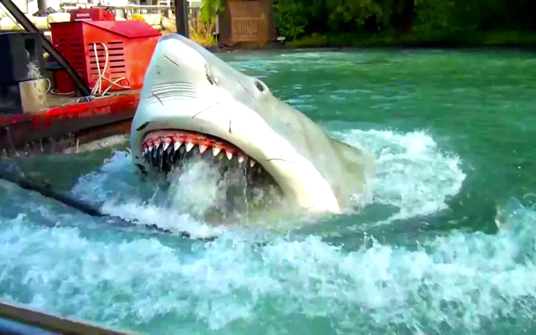 第一视角配音：挑战大白鲨！