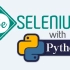 Python + Selenium Web自动化 全套教程  - 华为大佬7天带你入门