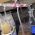 【化学实验/NurdRage】用氢氧化钾和钠净化和干燥乙醚作格氏反应