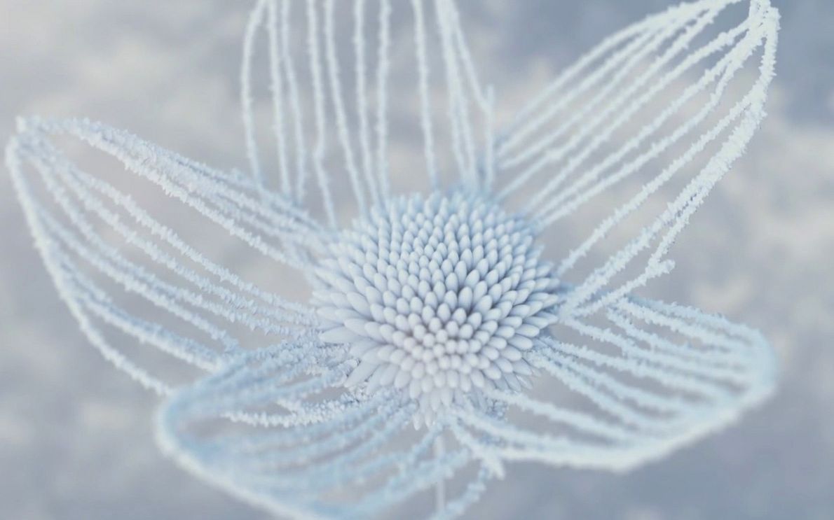 【houdini】冬季冰花特效制作教程