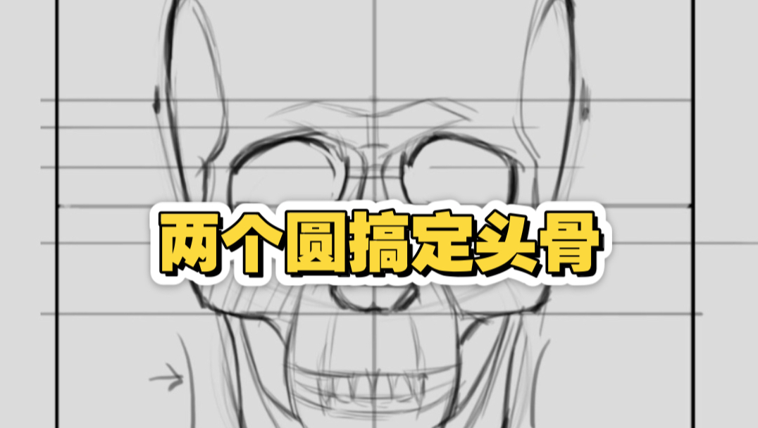 只用两个圆，就能精准画出头骨比例？这方法太高效了！
