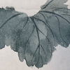 正面菊花叶子画法（一