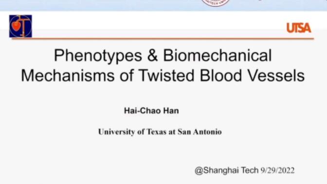 表型与生物力学-血管扭曲的机制——Haichao Han 德克萨斯大学圣安东尼奥分校