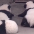 专治不开心：熊猫搞笑视频合集2
