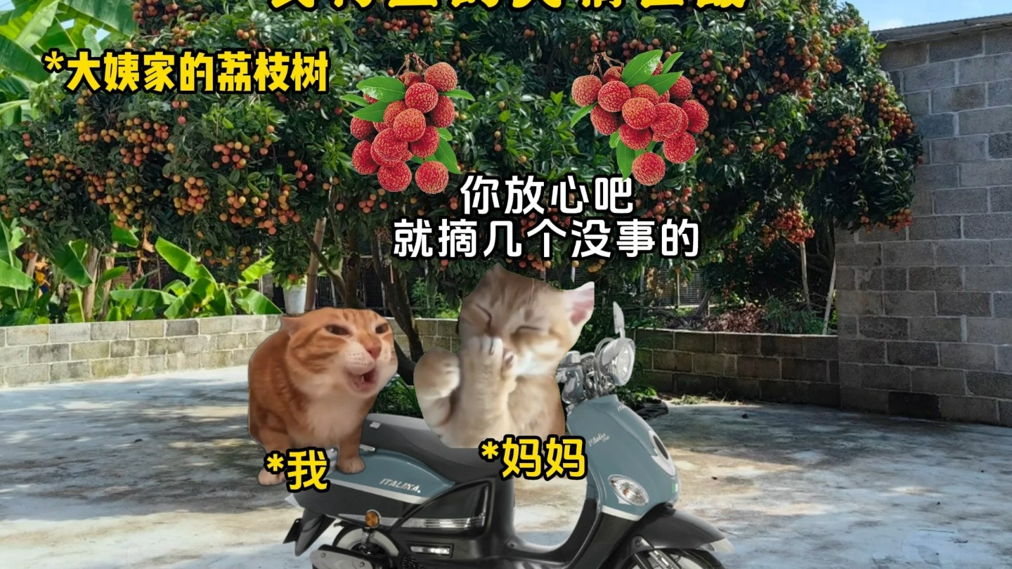 农村里的人情世故