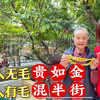 “男人无毛贵如金，女人有毛混半街”古人说的是什么毛？有道理吗