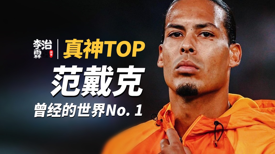 足坛真神TOP：如果巅峰，结局是否不同？曾经的世界最强中卫！范戴克！