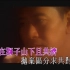 《狮子山下》罗文 MV 1080P(CD音轨)