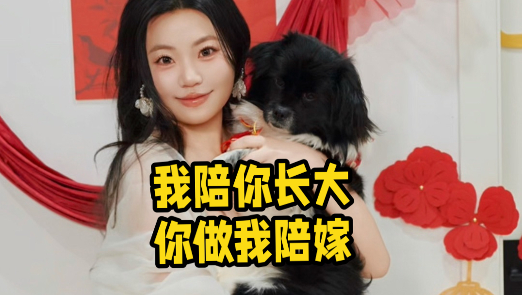 胎盘小狗逆袭记