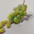 【水粉色彩】画一串葡萄系列-绿色葡萄……