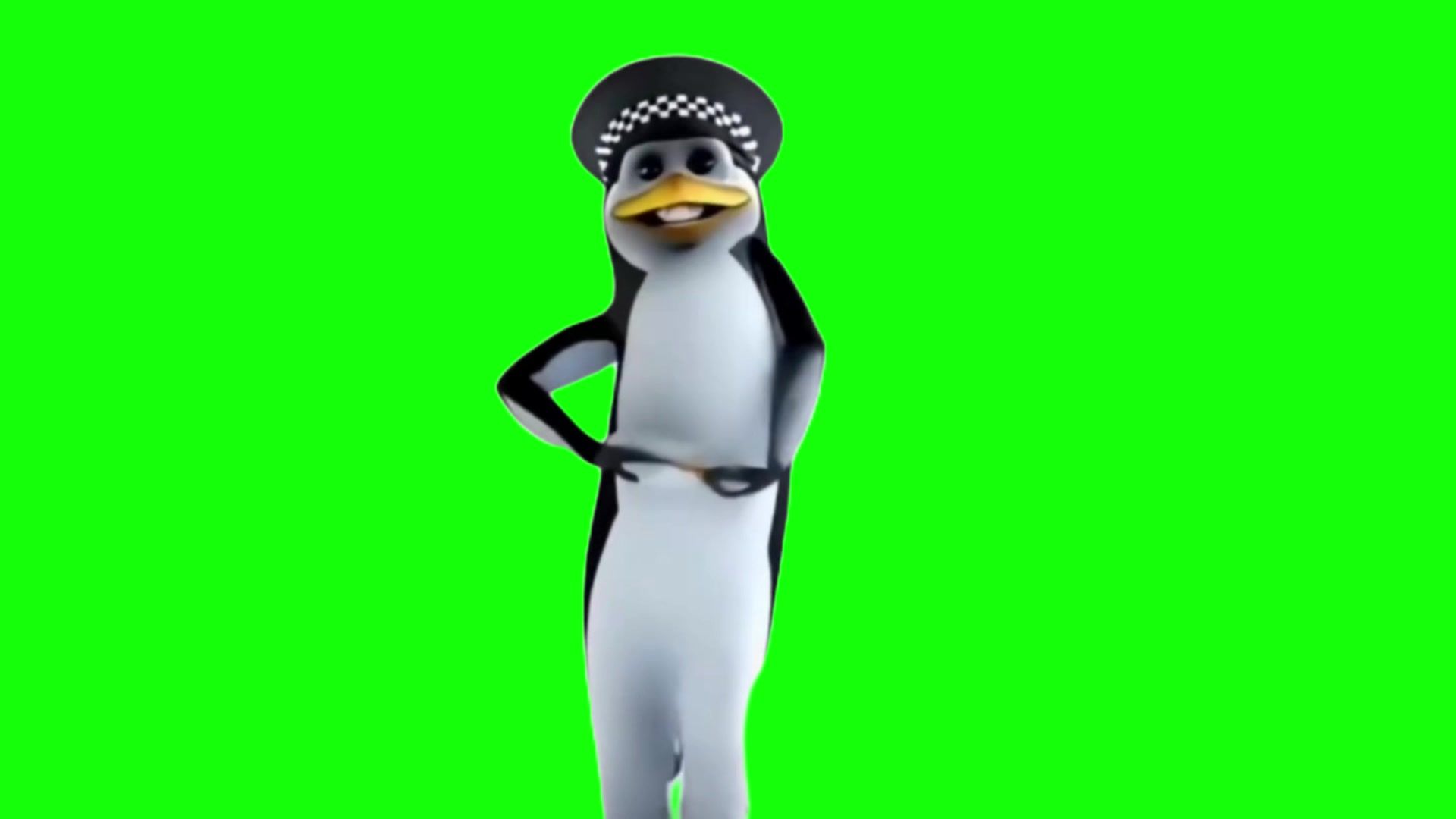 【高清无水印】企鹅跳舞4meme素材30秒