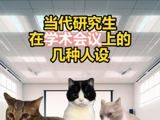 当代研究生参加学术会议be like #研究生 #科研狗的日常 #实验室日常 #猫meme #真实还原