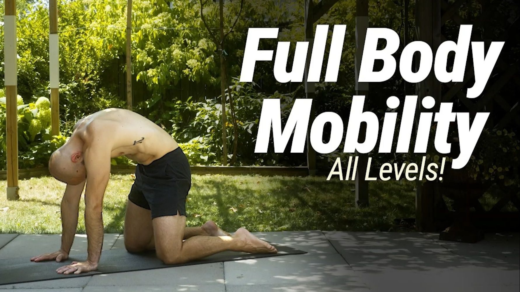 【EDR Fitness】30分钟全身灵活性训练.适合所有水平