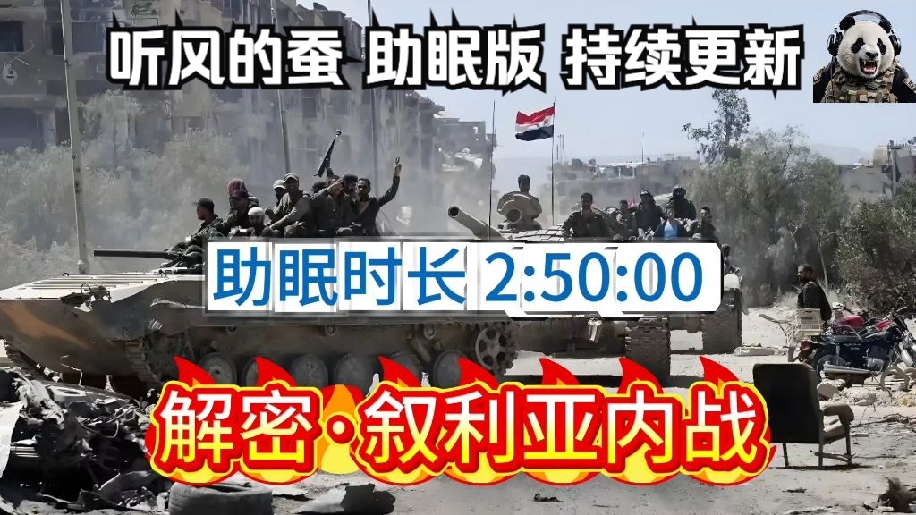 【听风的蚕】助眠版·解密叙利亚内战