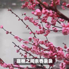 《生查子·落梅庭榭香》晏几道