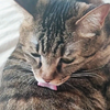 小猫咪:请问每天被打屁股怎么维权?急!在线等