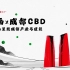 【文旅景观】来画x成都CBD｜中国写意画的场景，二维与三维结合。来画梦工厂，以“逐梦交子”为主题，完整呈现交子公园金融商