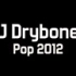 DJ Drybones 美妙混音 2012年26首欧美流行热单