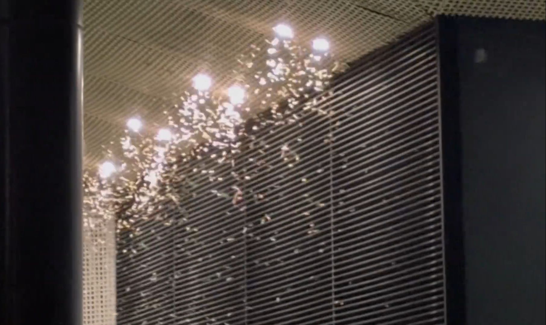 上海白蚁“史诗级别”大爆发？虫控专家称“今年还不算最多”