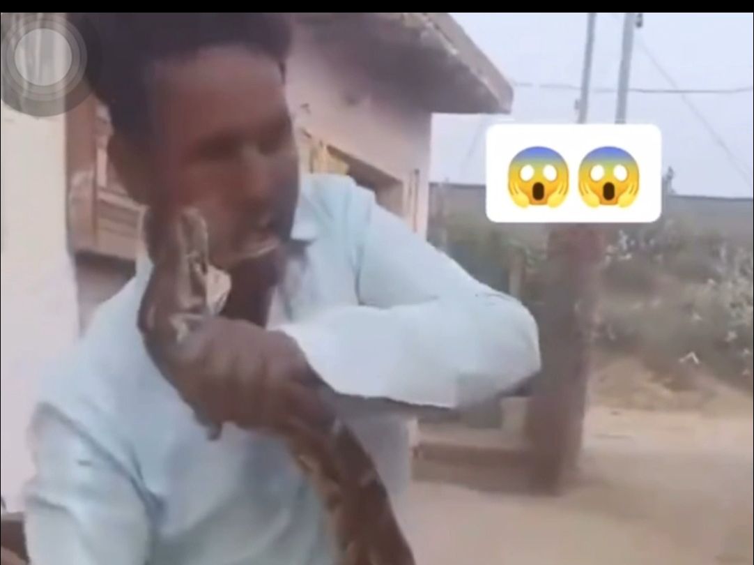 This is the first time a boa constrictor has bitten his mouth, right?
