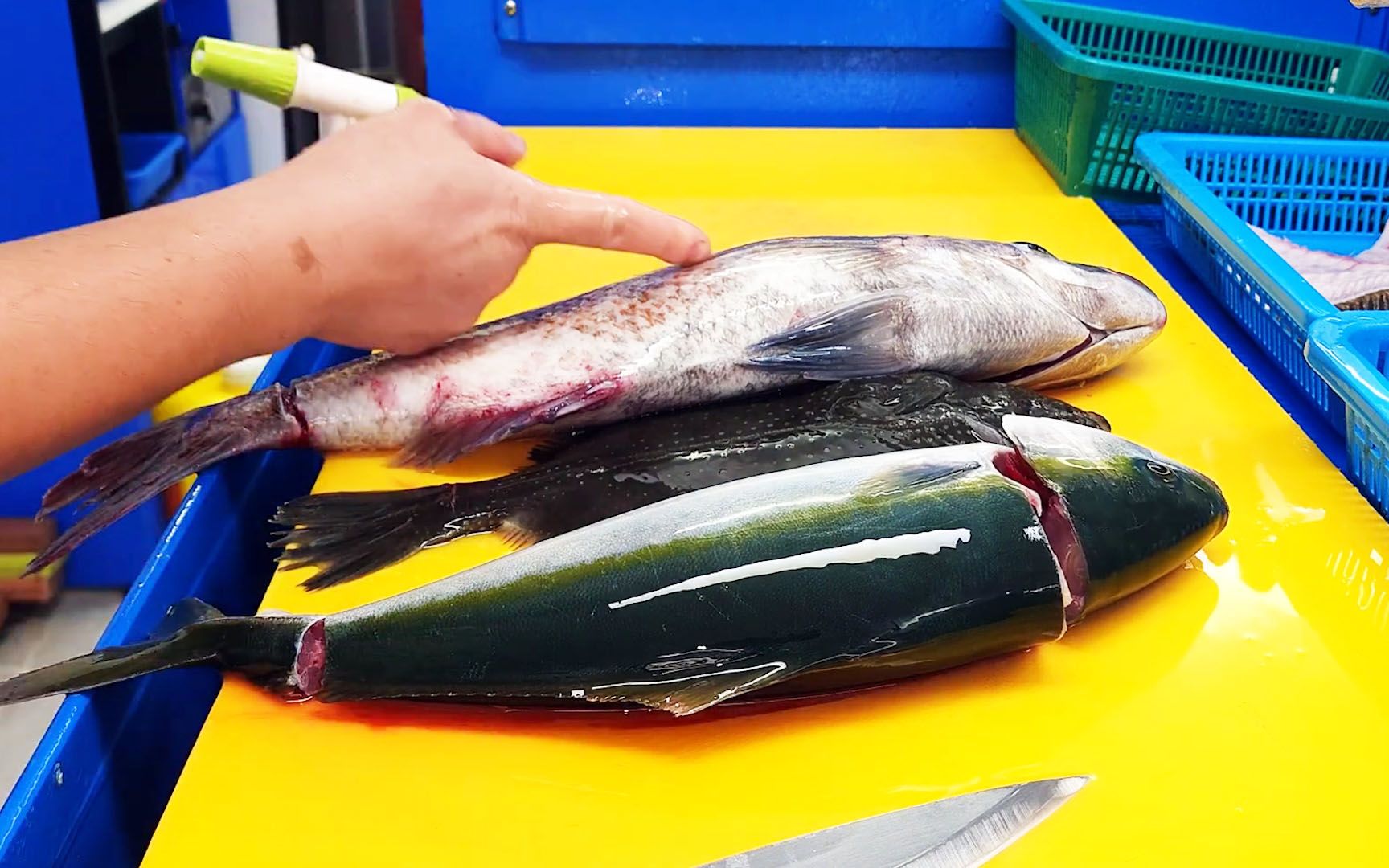 野生海鱼组成豪华刺身，精湛刀法锁住鲜嫩，让肉质得到极致发挥