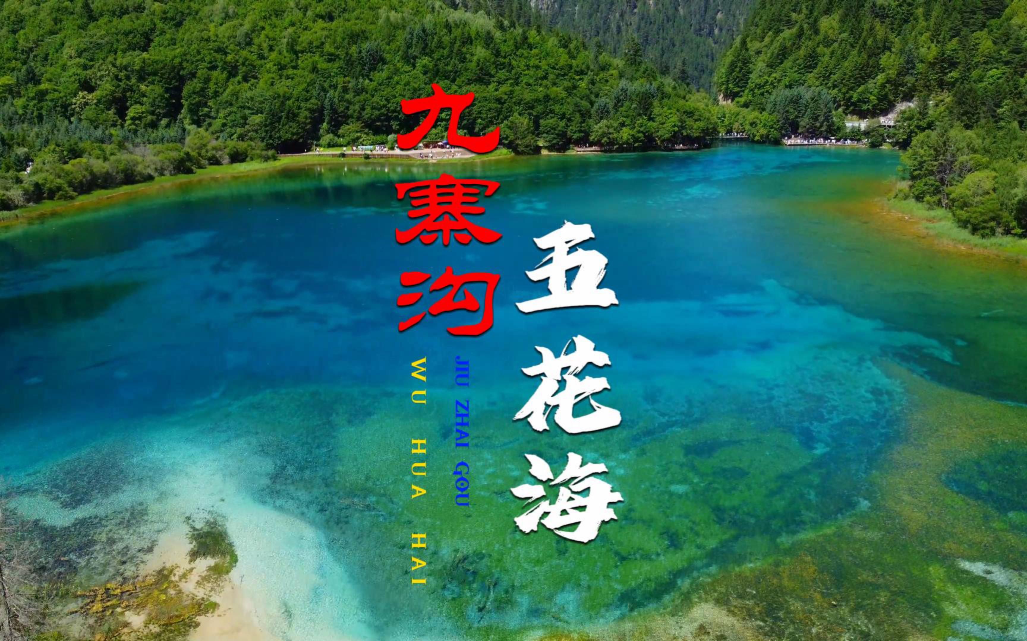 超清航拍九寨沟最美的海子 五花海 天空般湛蓝宝石般墨绿鸟羽般翠黄