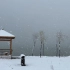 河南洛阳今天下雪了，美得无法用言语表达！