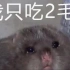【KBShinya】竹鼠的一百种死法【搞笑翻唱】