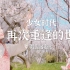[李CL]路人围观带你看武汉的樱花|少女时代|再次重逢的世界翻跳