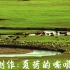 中国经典民谣歌曲《九月》-周云蓬