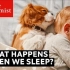 【英语】TE | 深度睡眠的好处 睡觉时你的身体发生了什么？【英字】
