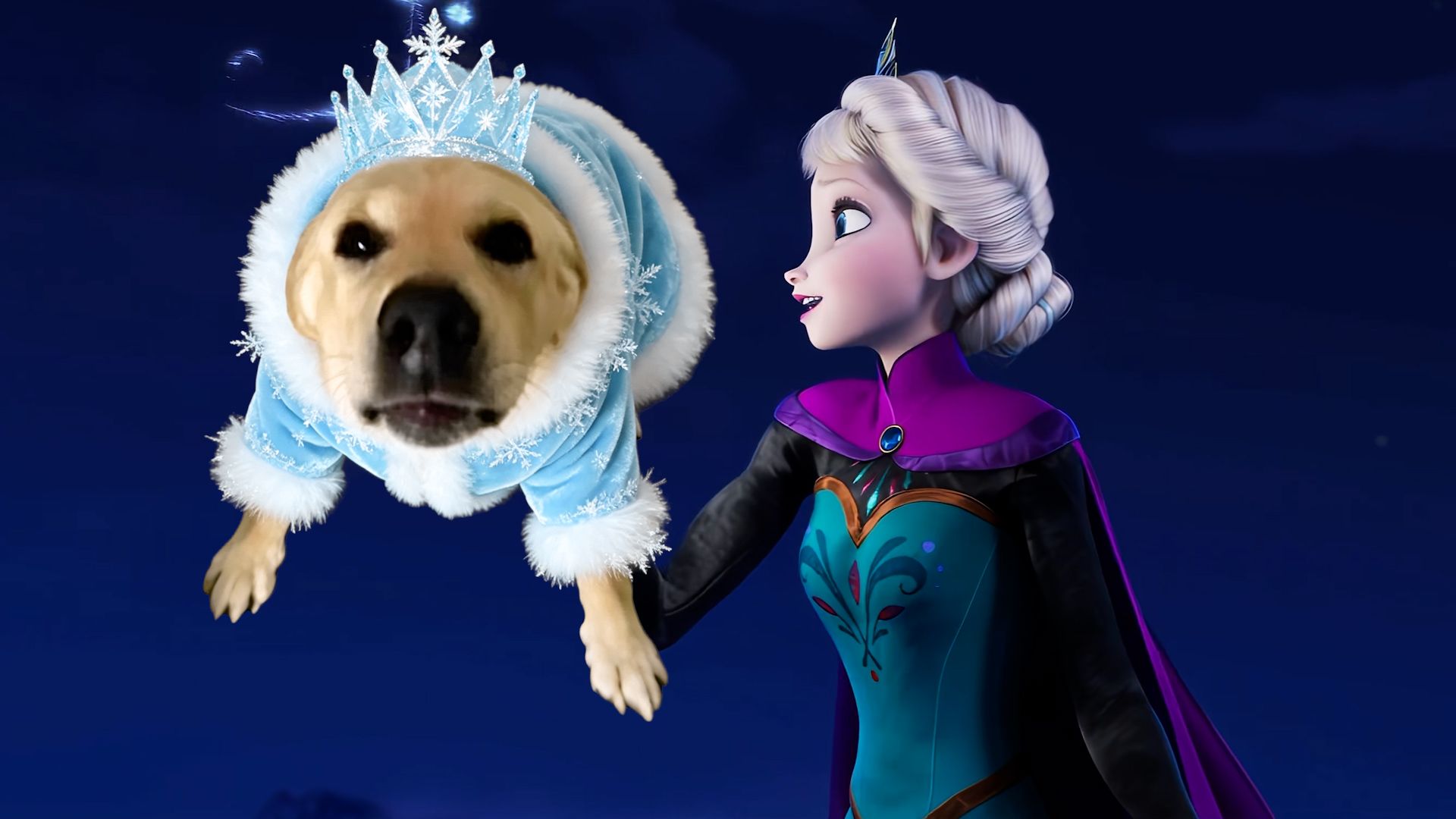 🐶冰狗奇缘🐶《Let It 狗》