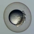 显微镜下的斑马鱼胚胎发育：短短48小时改头换面