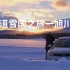雪国之旅-北海道旭川美瑛｜深陷雪地数小时 却让我明白了旅行的意义