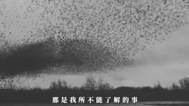<em class="keyword">唐冠华</em>：我所不能了解的事
