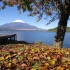 【HD】日本 山梨县 富士山 紅葉始まる山中湖
