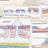 Structural Geology - Lesson 1 - Part 3