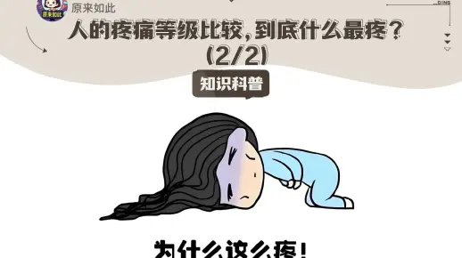 （2/2）人的疼痛等级比较，到底什么最疼？