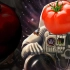 航天大师老番茄