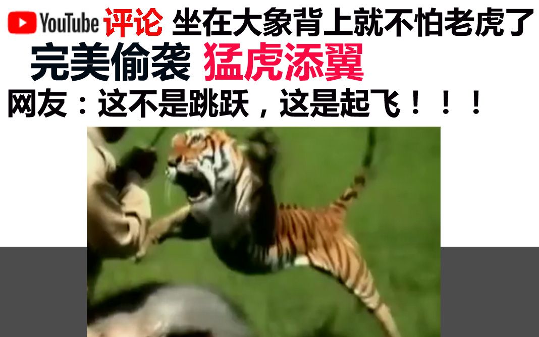 完美偷袭,猛虎添翼 网友:这不是跳跃,这是起飞!哔哩哔哩bilibili