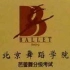 北京舞蹈学院芭蕾舞教程（分p版）