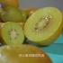 【水果猎人杨晓洋】（第一季第一集）猕猴桃