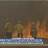 Australia Wildfires澳大利亚森林大火肆虐，人们努力拯救考拉和袋鼠