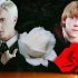 【HP】红玫瑰与白玫瑰