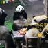 四只大熊猫围坐在一桌吃水果，网友：与生俱来打麻将的气质