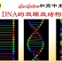【198】GeoGebra和生物-三维可调的DNA双螺旋结构