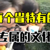 原来每个省都有外地人难以理解的专属文化